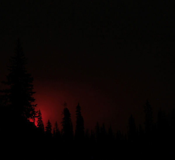 forest_fire_at_night2